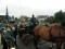 Bild vor