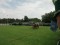 4 Bilder vor