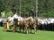2 Bilder zurück