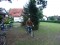 4 Bilder zurück