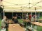 Bild vor