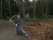Bild vor