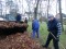 Bild vor