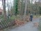 3 Bilder vor