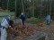 4 Bilder vor