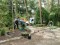 Bild vor
