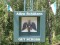 aktuelles Bild