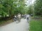 2 Bilder vor