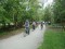 4 Bilder vor