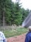 2 Bilder zurück