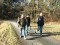 4 Bilder vor