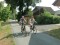 3 Bilder vor