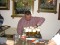 Bild vor