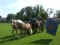 2 Bilder vor