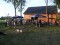 Bild vor