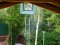 4 Bilder vor