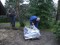 3 Bilder vor