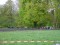 3 Bilder vor