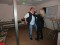 4 Bilder vor
