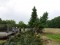 aktuelles Bild