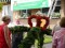 Bild vor