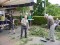 aktuelles Bild