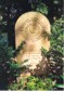 Gedenkstein der Familie Bax